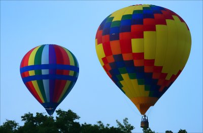 BAIRLY OVER THE TREE TOPS