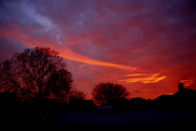 FRONT YARD SUNSET