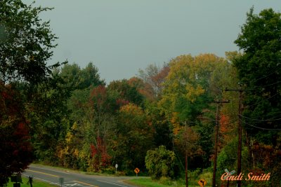COLOR ALONG THE ROAD TO HARTFORD, CT