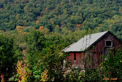 OLD BARN IN THE FOOTHILLS