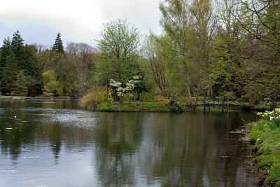 North Yorkshire