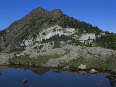 Marbel Meadows