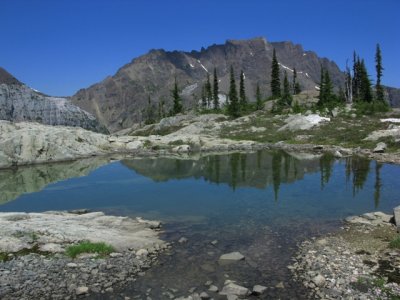 Marbel Meadows