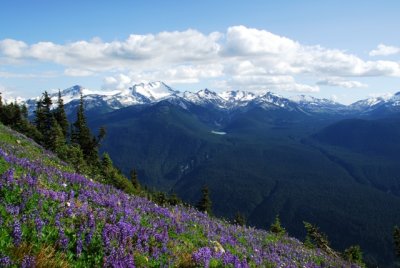 High Note Trail Views