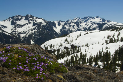 View from Flower Ridge