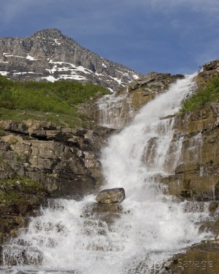 Waterfall on way up Logan Pass