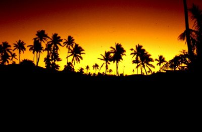 fiji