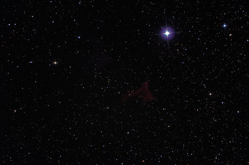 IC59 and IC63 in Cassiopea