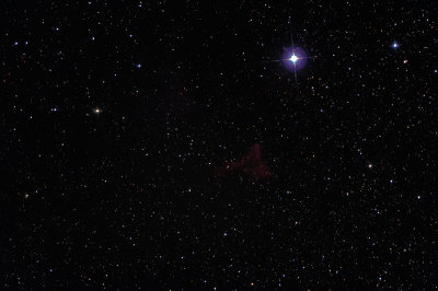 IC59 and IC63 in Cassiopea