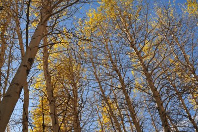 DSC_9761.JPG