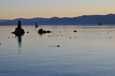 DSC_9890.JPG