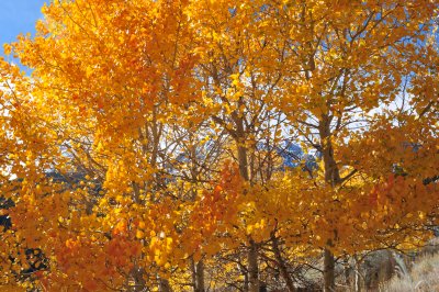 DSC_0048.JPG