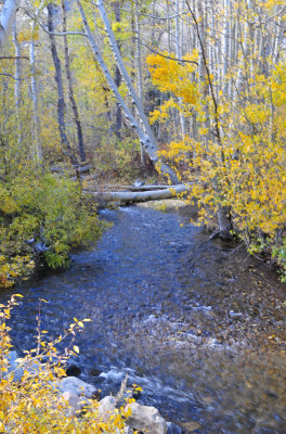 DSC_0088.JPG