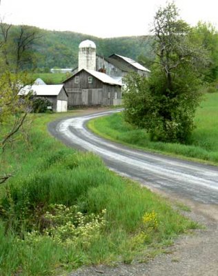Sugar hollow Farm