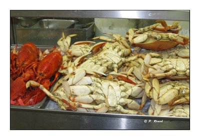 Lobster & Crab - 1777