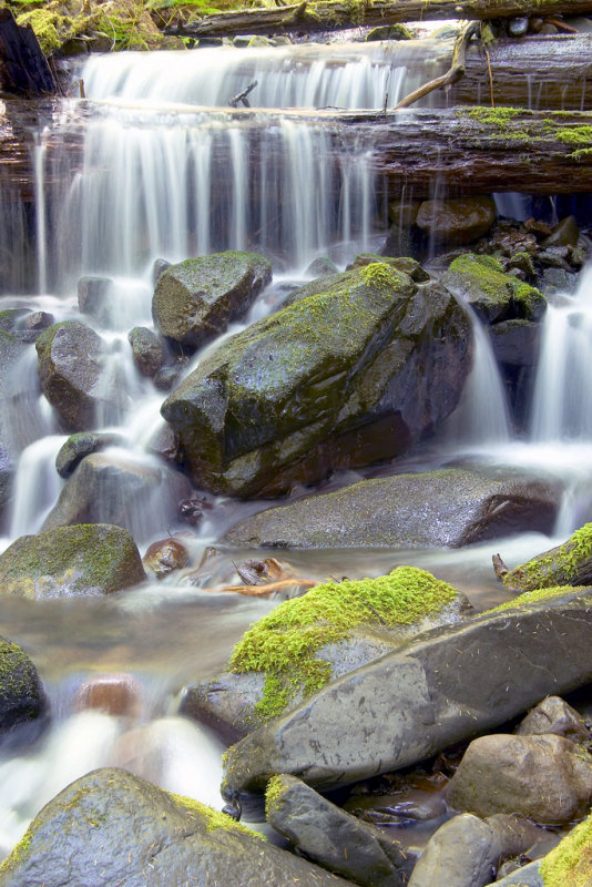 Small creek with a vertical view.