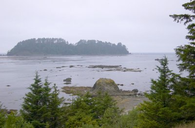 My first view of the ocean from the bluff.