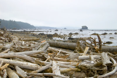 Can you say drift wood?