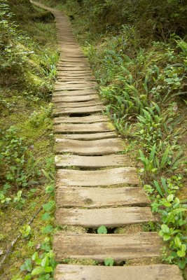 Another old section of boardwalk.