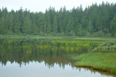 Lake Ozette at first light looking to the west.