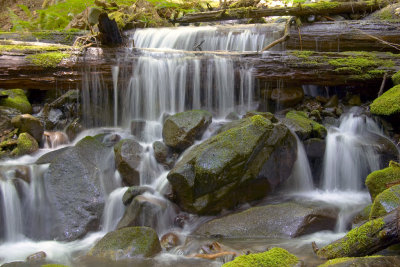 Small creek wide view.