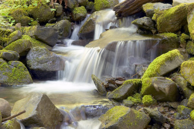 Wide view of a different spot on the creek.