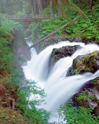 Sol Duc Falls at first light.