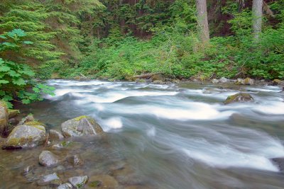 Up the river above the falls.