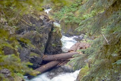 Sol Duc Falls Area, Olympic National Park, WA