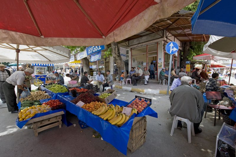 Tavsanli june 2008 1987.jpg