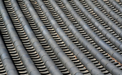 Temple roof