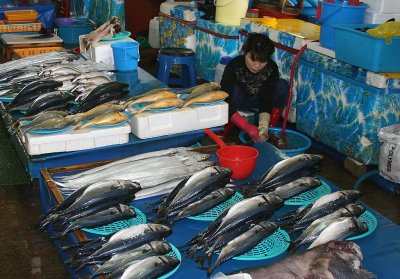 Fish market at Jumunjin