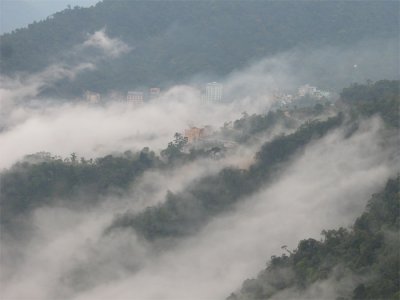 Tam-Dao.jpg