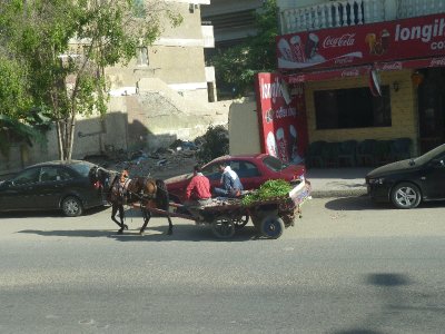 Street  in Cairo P1000442(1).JPG