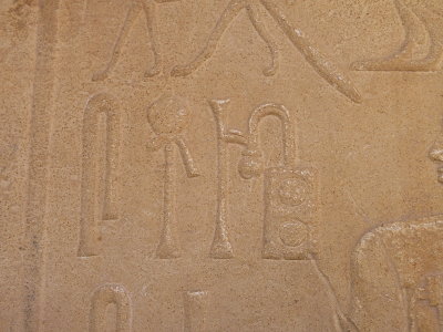 Tomb of Ti Corridor ReliefP1000462(1).JPG