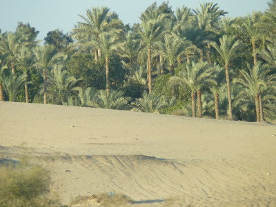 Edge of the Desert, Dahshur P1000590(1).JPG