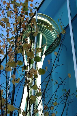 Seattle Space Needle Reflected