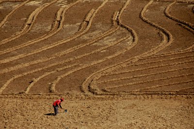 Vegetable Farming near Mataral