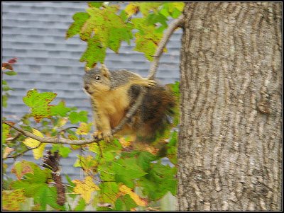 IMG_0079.jpg