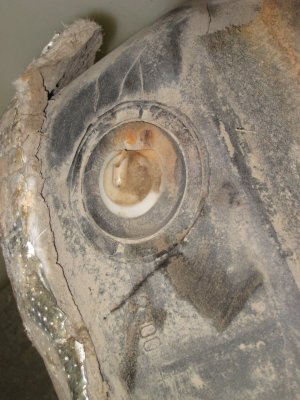 Broken tank vent
