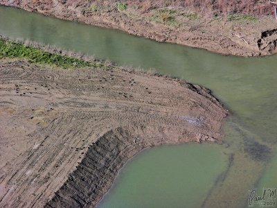 In Front Of The Dam