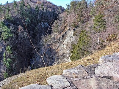 Wolf Creek Ravine
