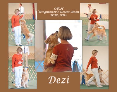 Dezi.jpg
