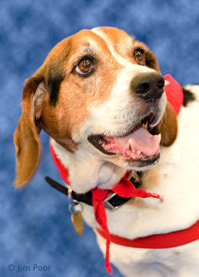 Mosby-2008-06-07.jpg