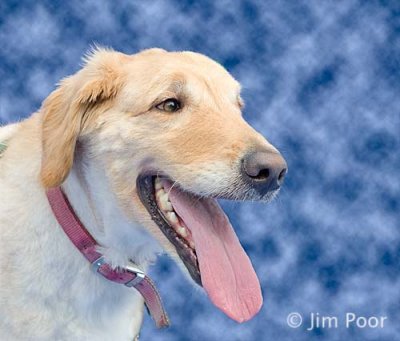 Dukie-0123-Edit.jpg