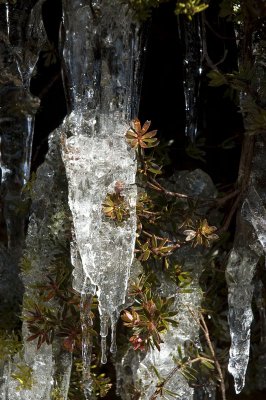 Spring thaw