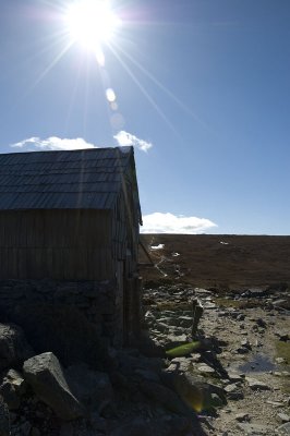 Afternoon sun