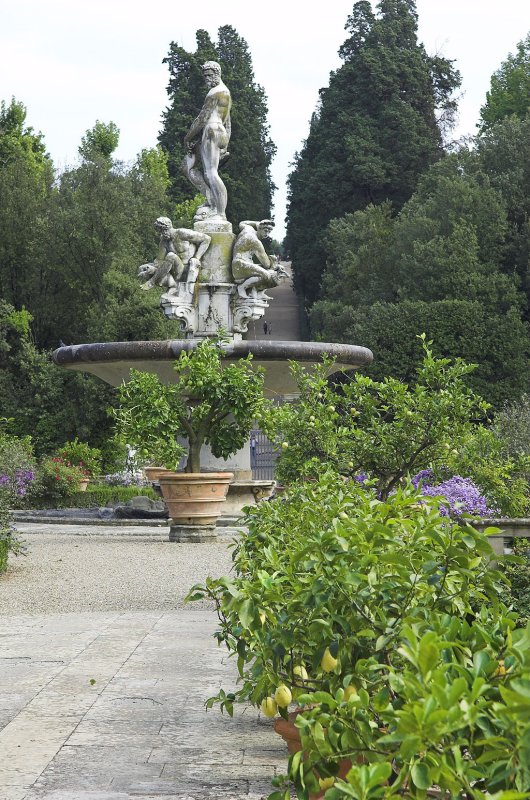 Fountain, Gardino di Boboli