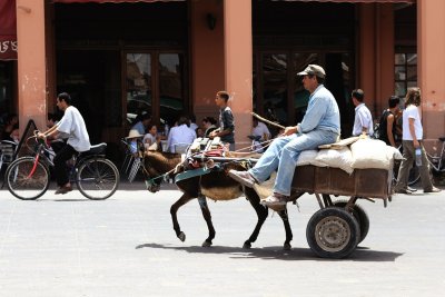 Transport at the Jemaa El Fna