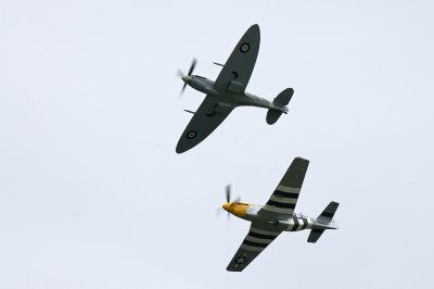 Mustang and Spitfire 3